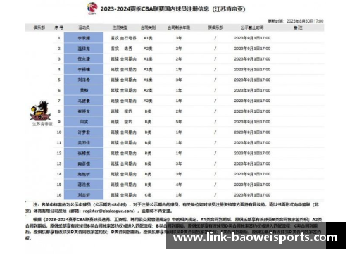 宝威体育球员注册规定的重要性与实施策略分析 - 副本